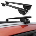 Lastenträger  Toyota Proace 2024+